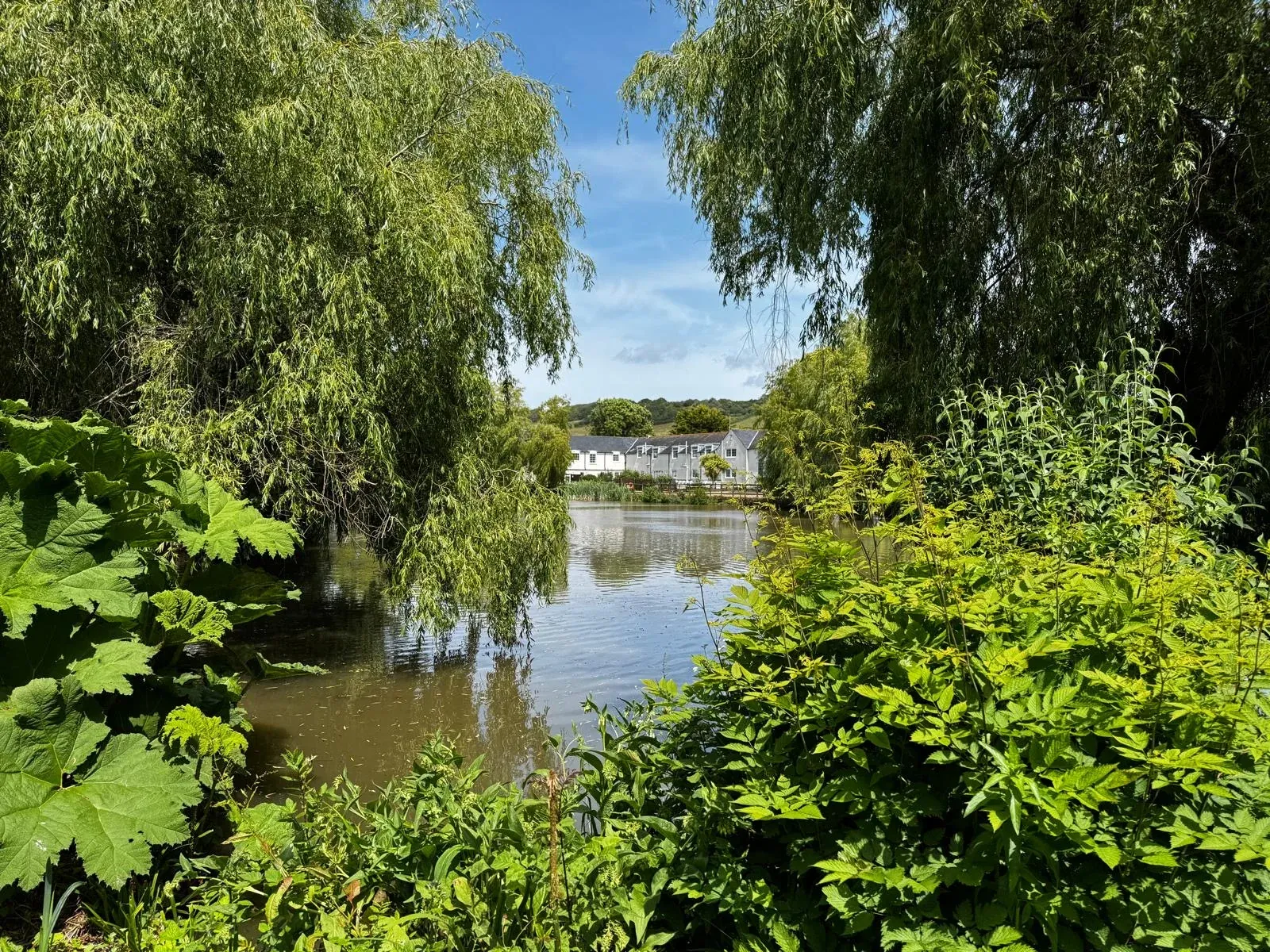 Lake View Care Home - Lake through the trees