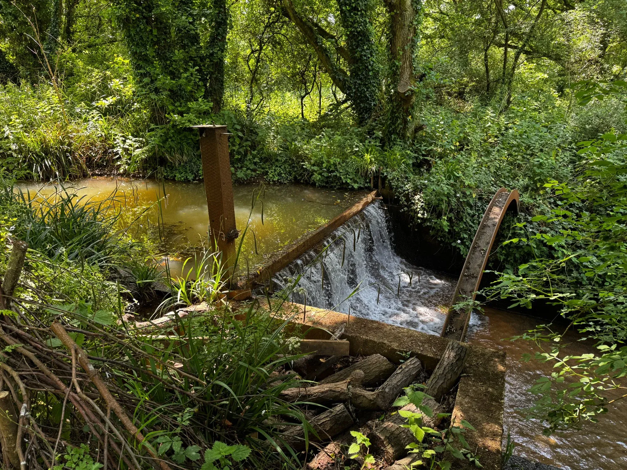 Lake View Care Home - Water feature