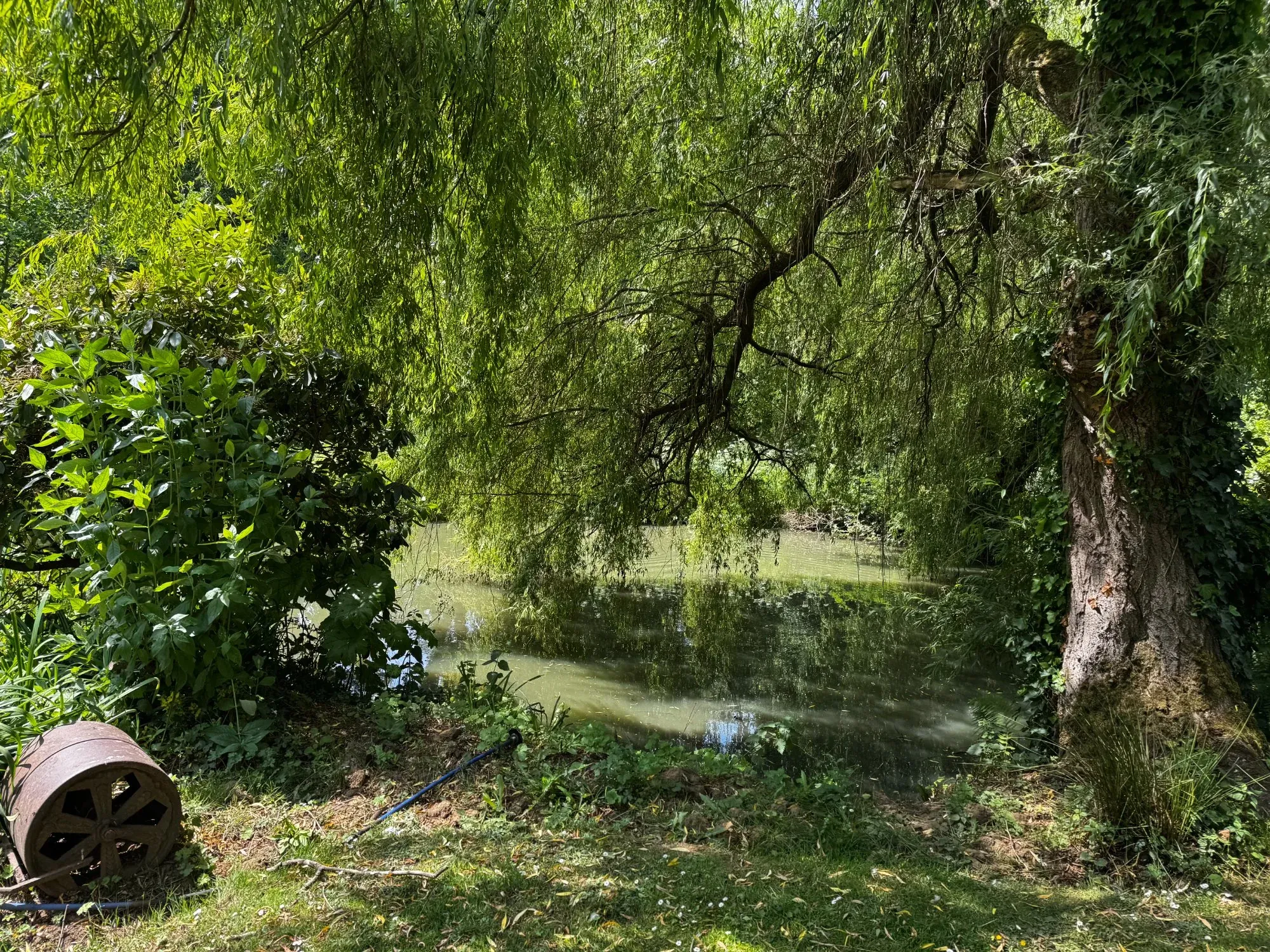 Lake View Care Home - Peaceful lakeside outlook